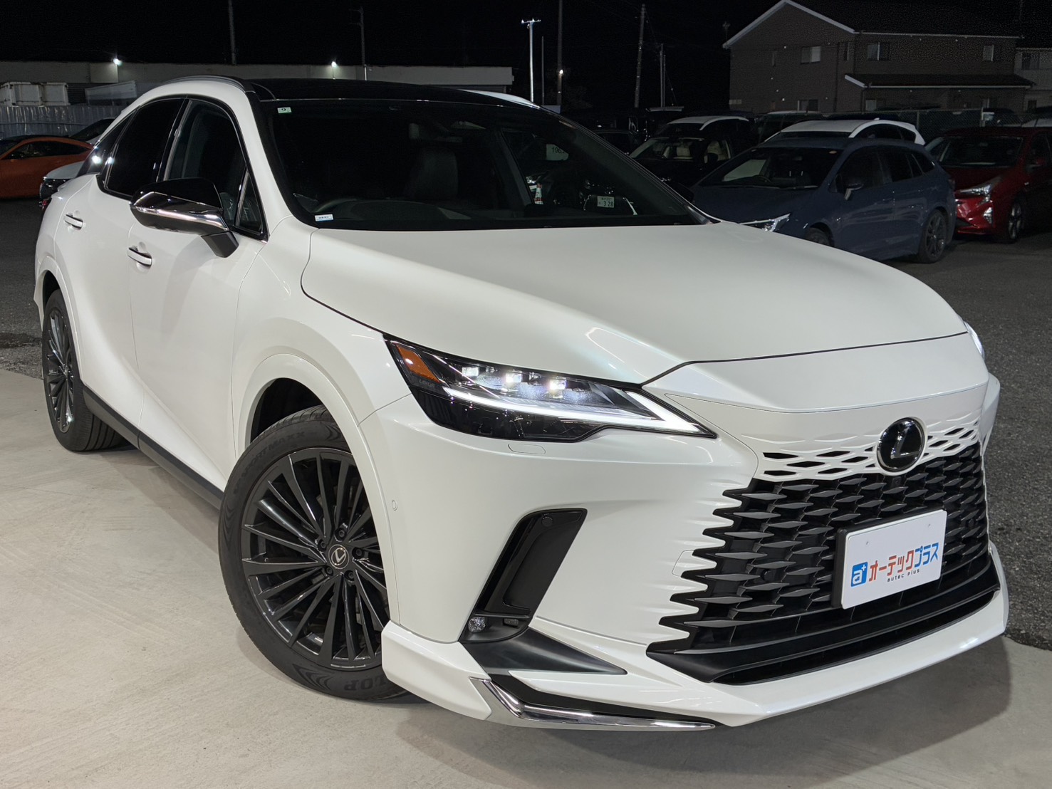 レクサス ＲＸ 外装品・エアロパーツ取付